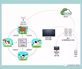 一個你不知道的神器！不了解它，連牛羊都不讓你養，你還談什么智慧養殖？