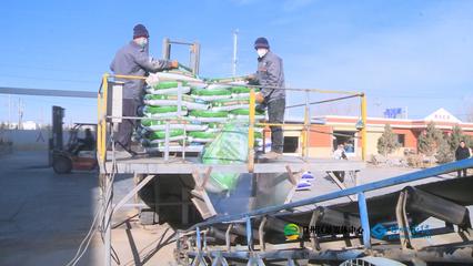 張掖市人民政府推動生物飼料研發(fā)，助力農(nóng)業(yè)綠色發(fā)展