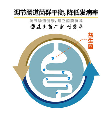 奶牛消化問題科學(xué)應(yīng)對 生物飼料添加劑研發(fā)與高效應(yīng)用